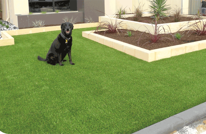 Pet Turf Installation-Synthetic Turf Team of Boca Raton